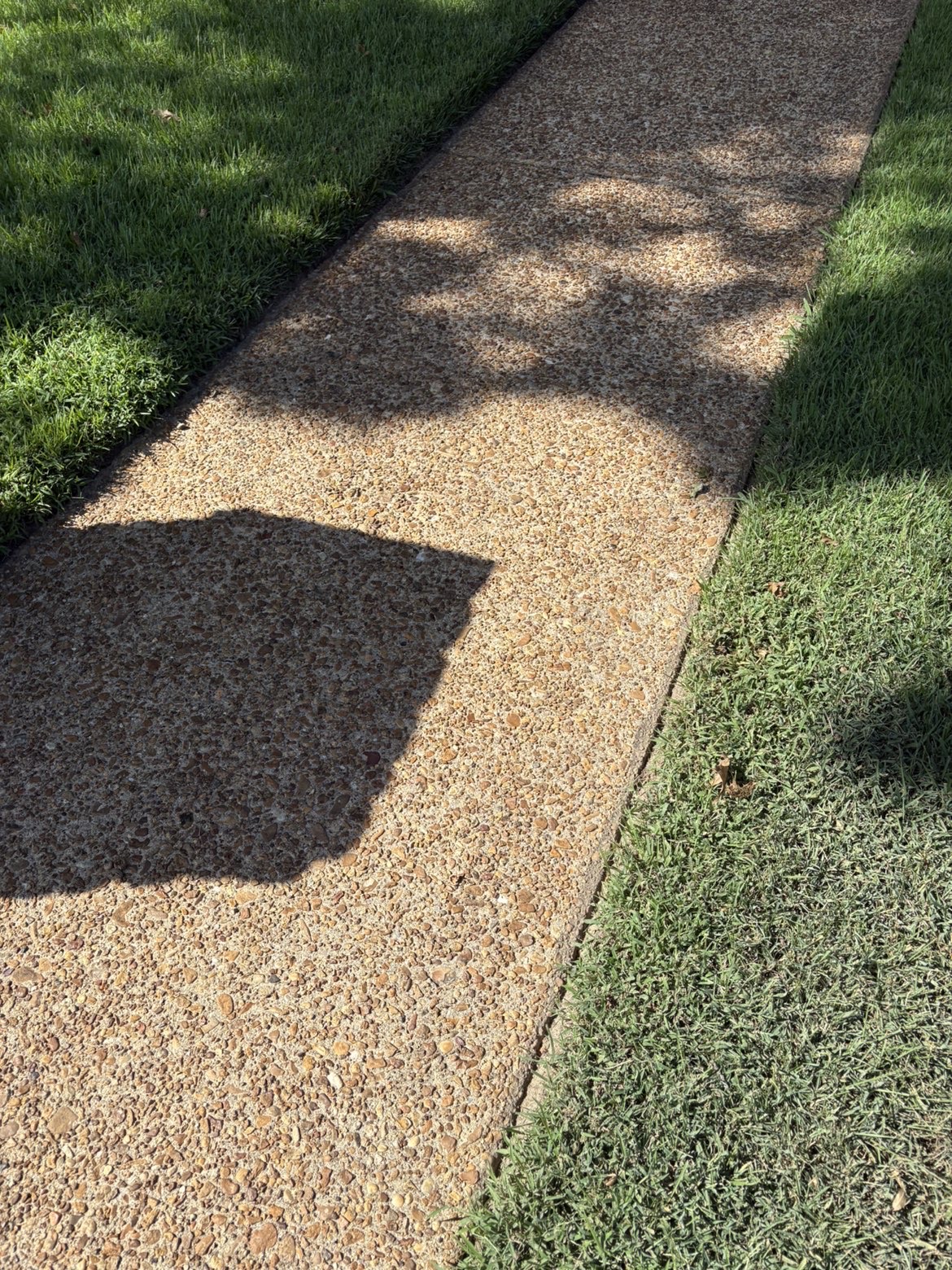 Walkway after pressure washing