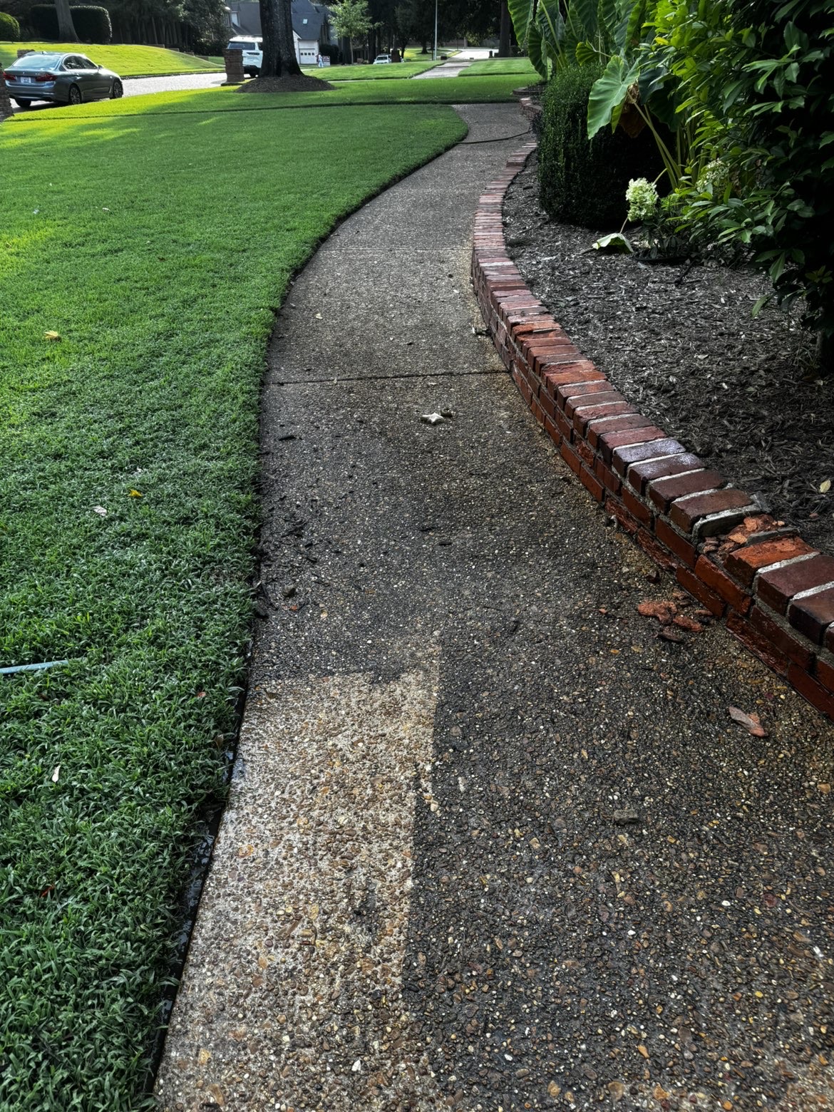 Walkway before pressure washing